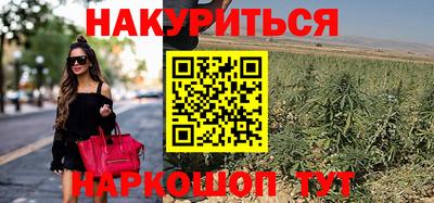spice Бийск