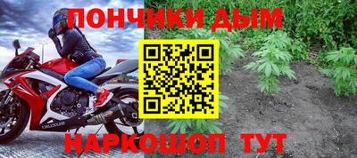 spice Бийск