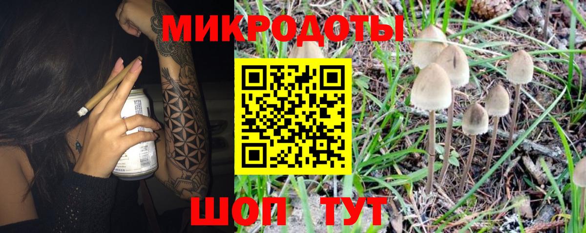 Галлюциногенные грибы Magic Shrooms Воркута