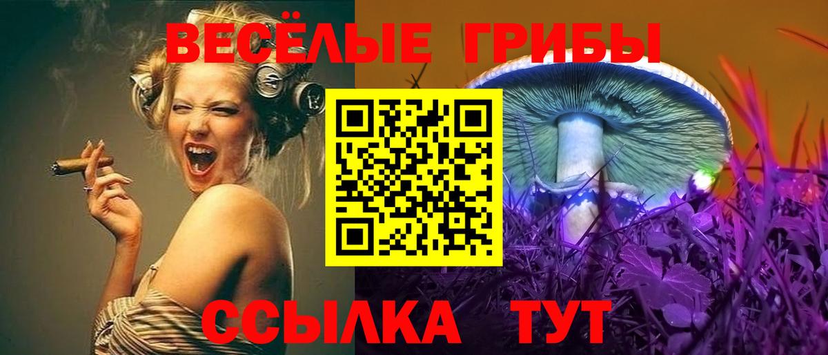 МДМА  Alpha-PVP СОЛЬ кристаллы  Каннабис  ГАШИШ  Вход с VPN  Воркута  Меф МЯУ МЯУ кристаллы  ГАШИШ 